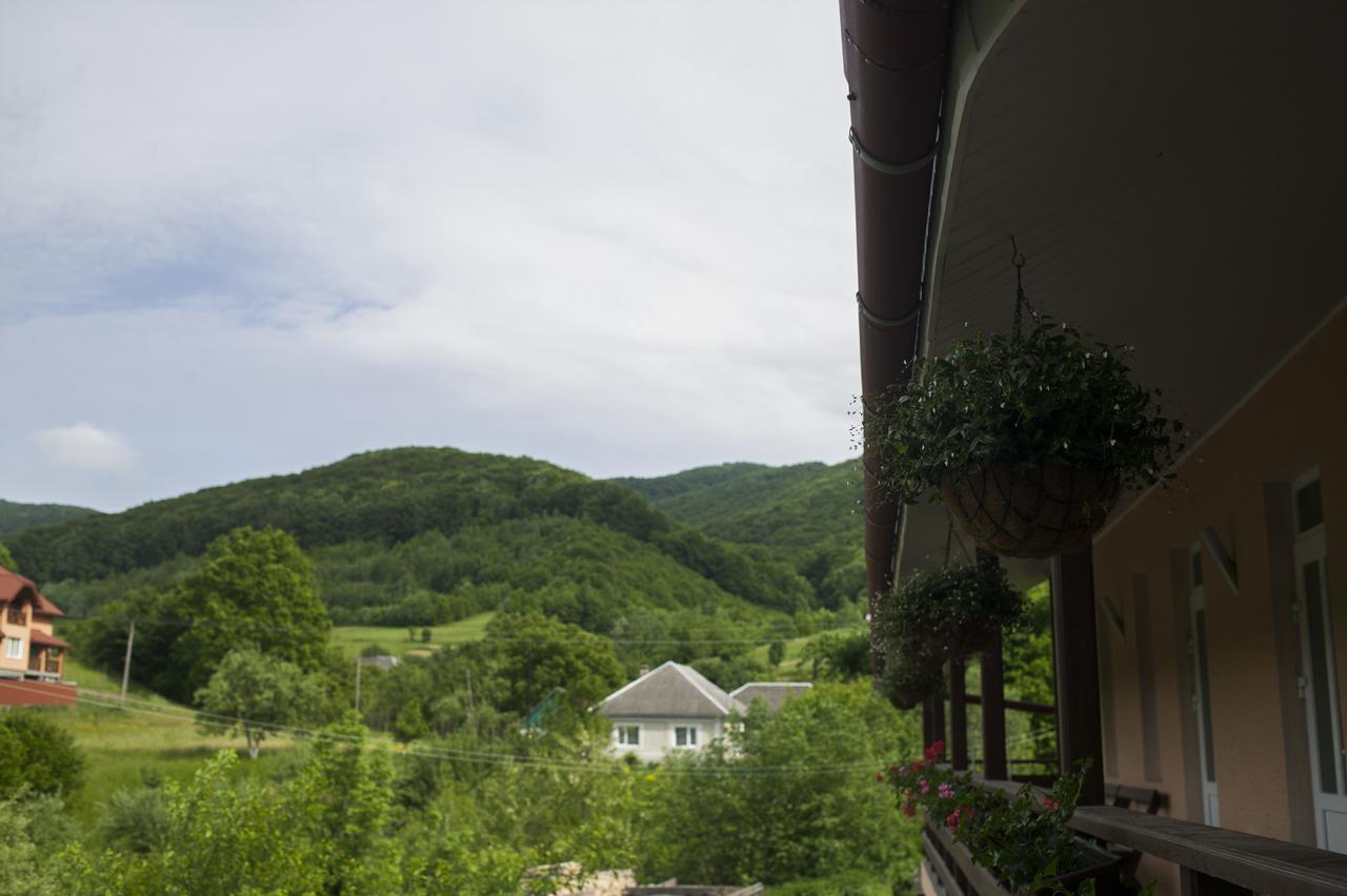 Hotel U Eli Polyana  Zewnętrze zdjęcie