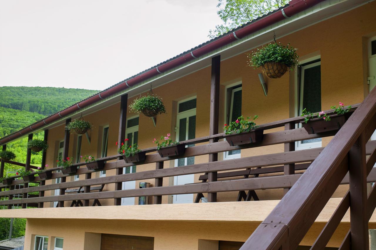 Hotel U Eli Polyana  Zewnętrze zdjęcie